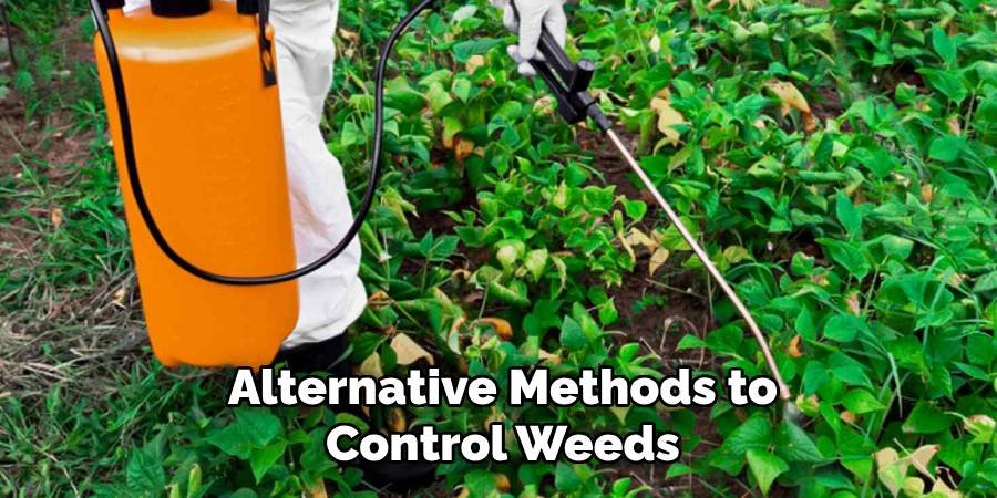 Alternative Methods to Control Weeds