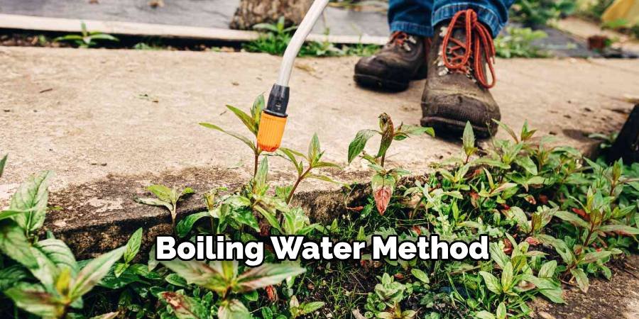 Boiling Water Method