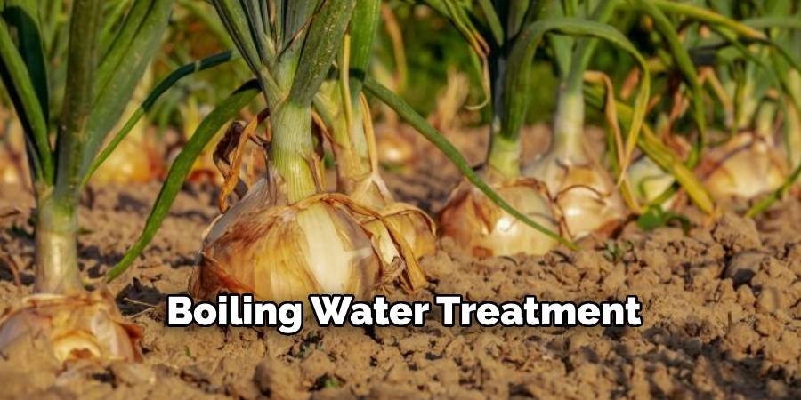 Boiling Water Treatment