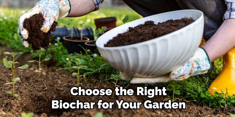 Choose the Right Biochar for Your Garden