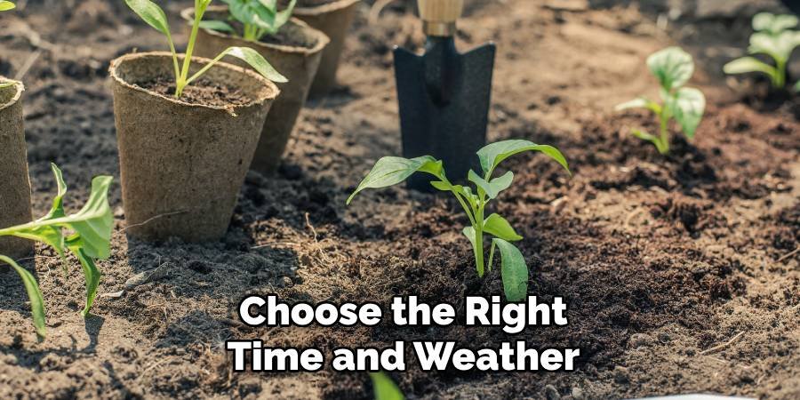 Choose the Right Time and Weather