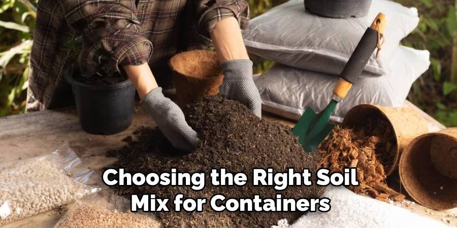 Choosing the Right Soil Mix for Containers