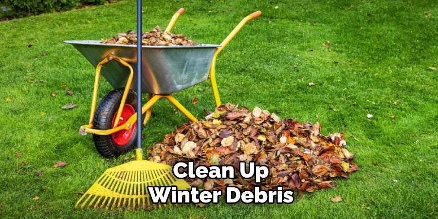 Clean Up Winter Debris