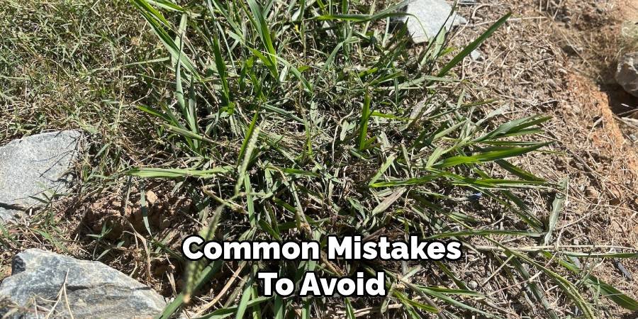 Common Mistakes to Avoid