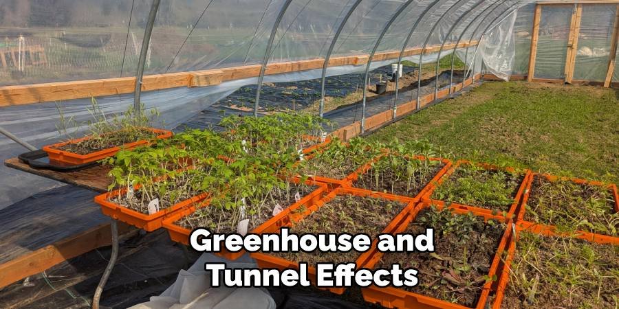 Greenhouse and Tunnel Effects