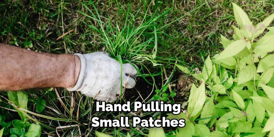 Hand Pulling Small Patches
