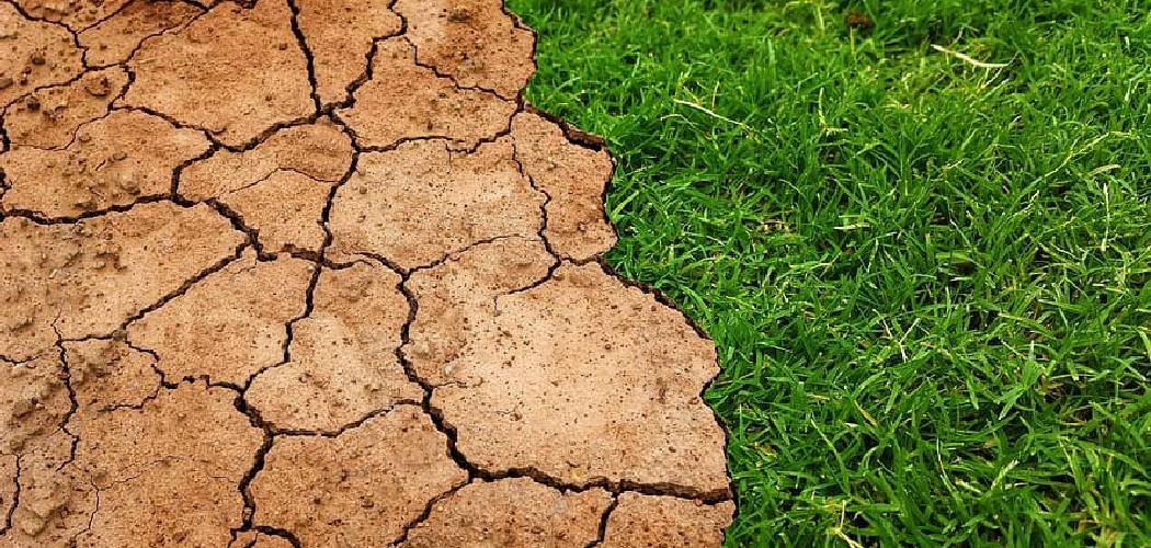 How to Break Up Hard Soil for Grass