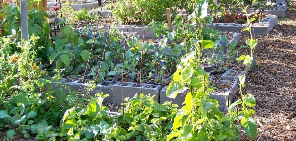 How to Build a Raised Garden Bed with Concrete Blocks