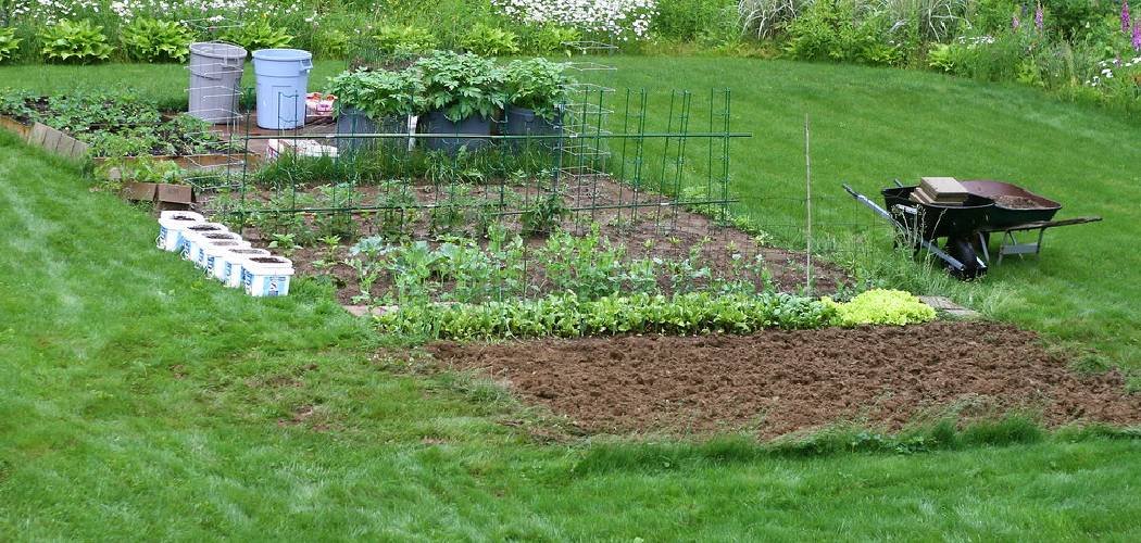 How to Level a Raised Garden Bed