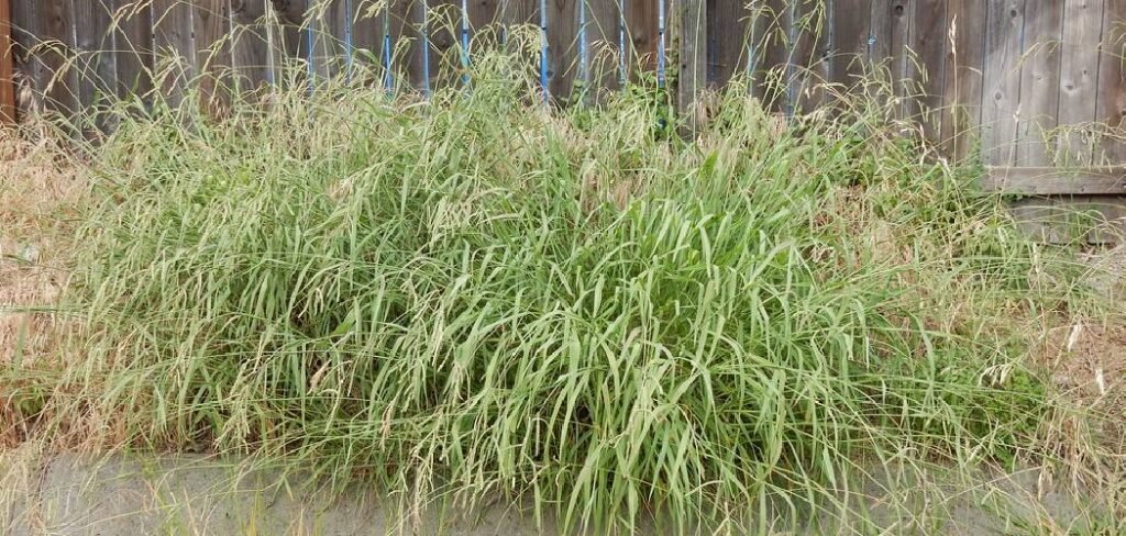 How to Remove Dallisgrass From Lawn