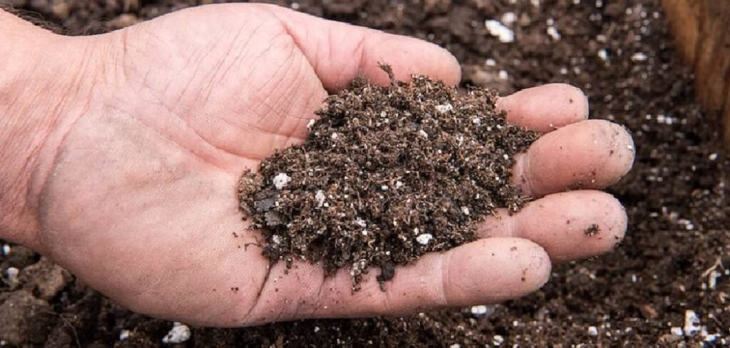 How to Shred Cardboard for Composting