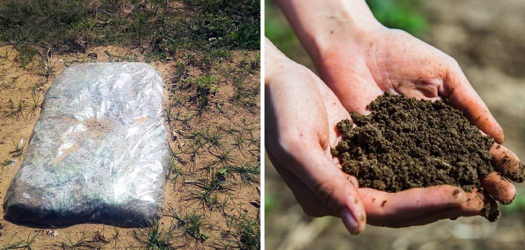 How to Sterilize Soil in the Sun