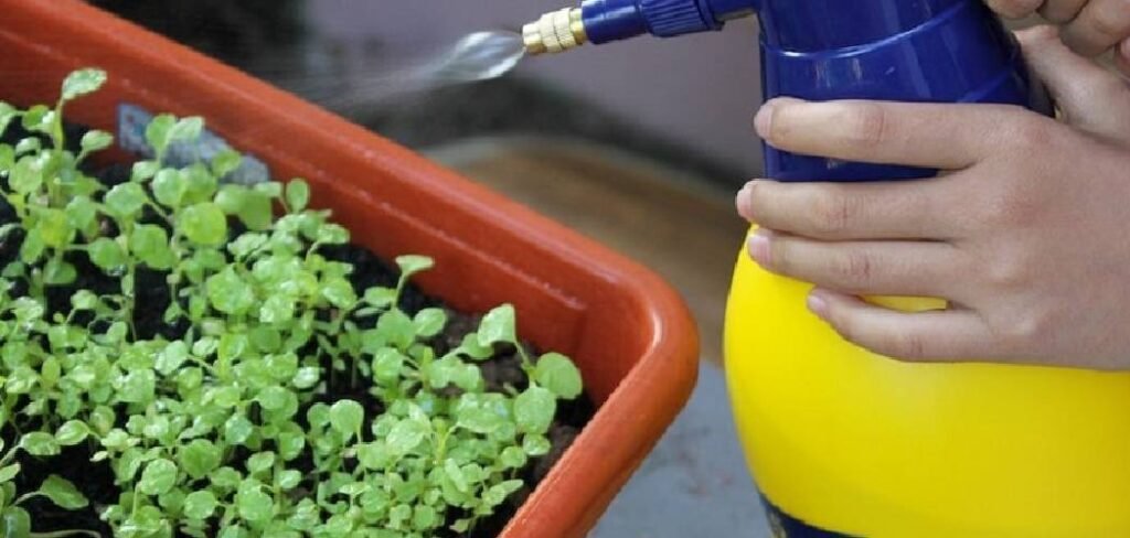 How to Sterilize Soil to Kill Weeds