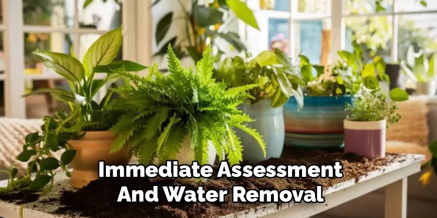 Immediate Assessment and Water Removal
