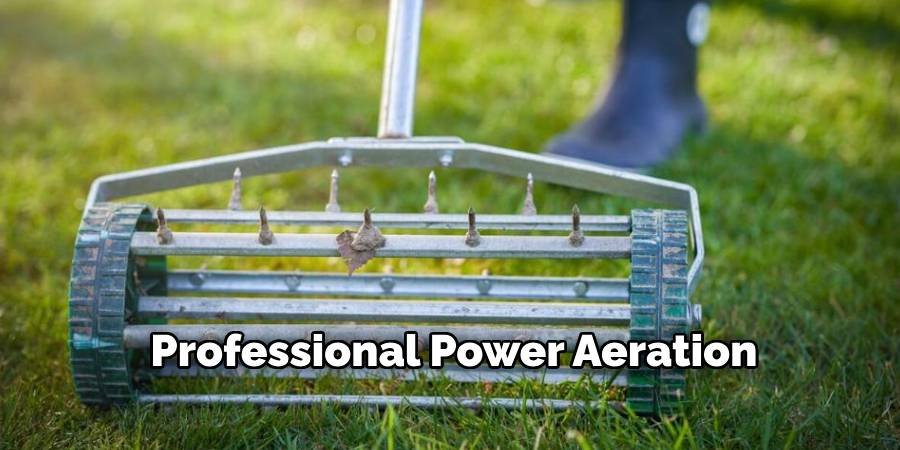 Professional Power Aeration