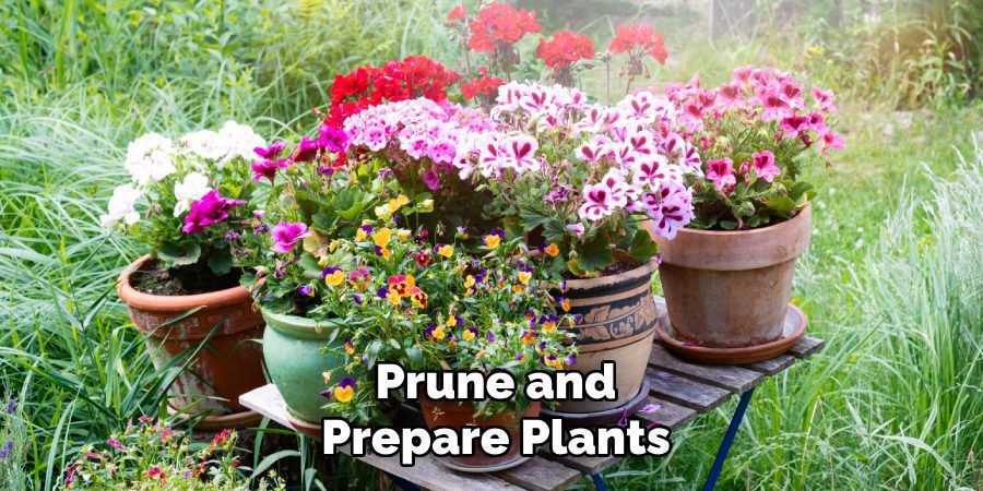 Prune and Prepare Plants