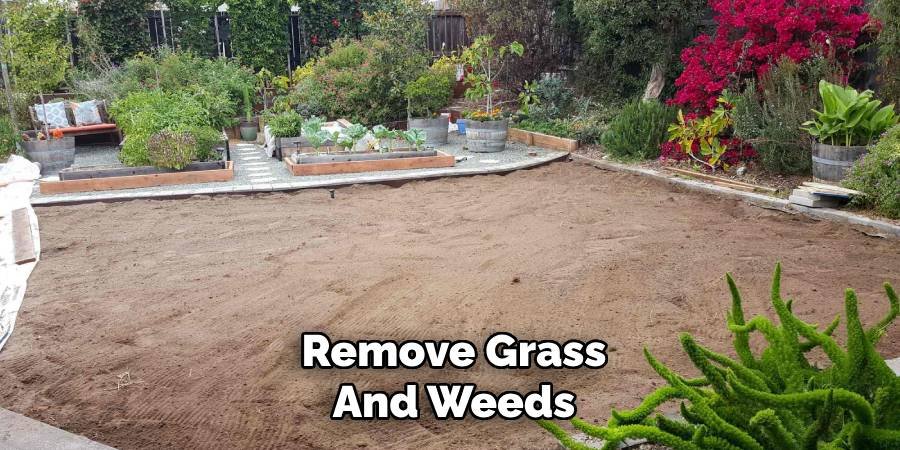 Remove Grass and Weeds