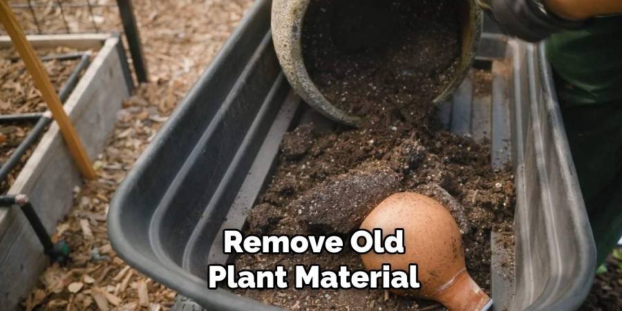 Remove Old Plant Material