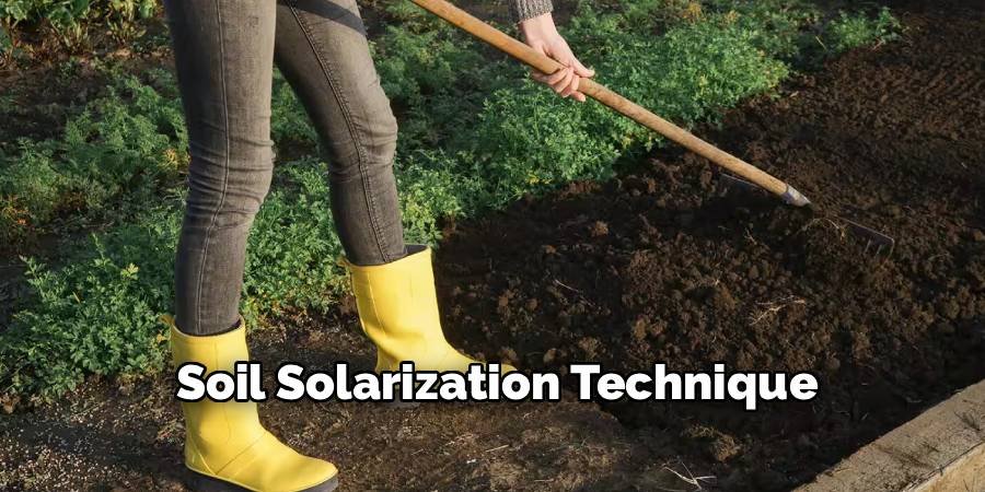 Soil Solarization Technique