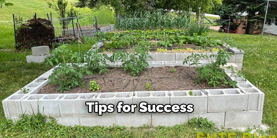 Tips for Success