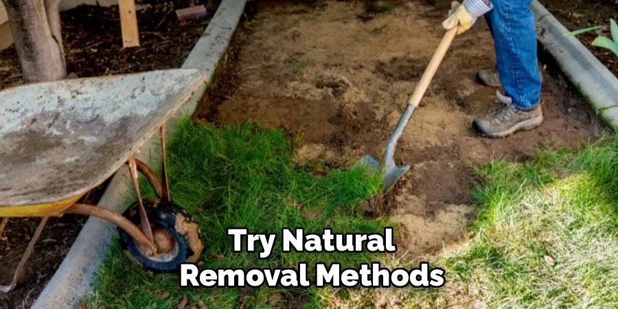 Try Natural Removal Methods