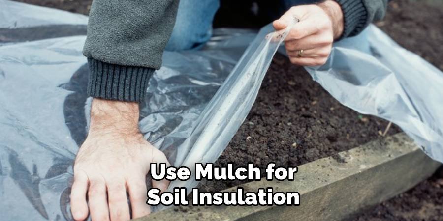 Use Mulch for Soil Insulation