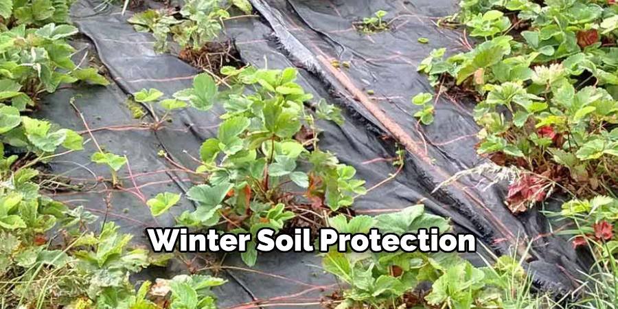 Winter Soil Protection