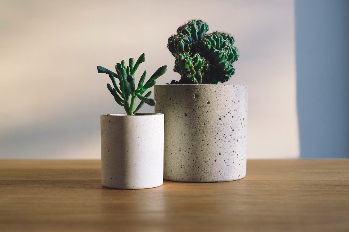 indoor gardening