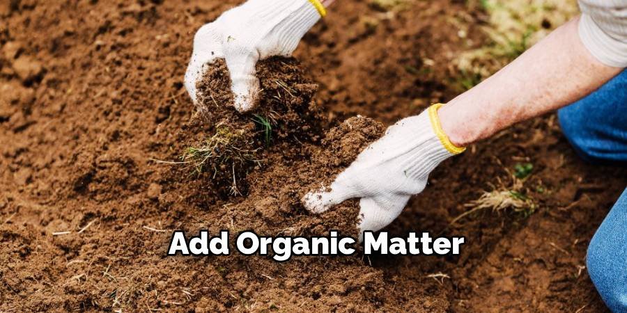 Add Organic Matter