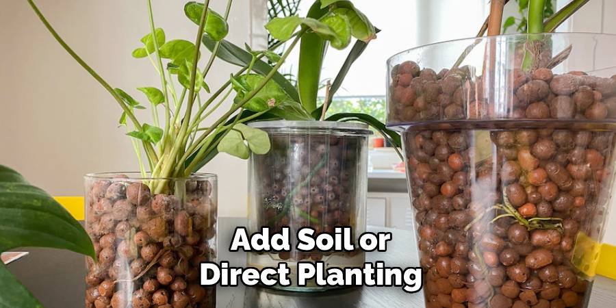 Add Soil or Direct Planting