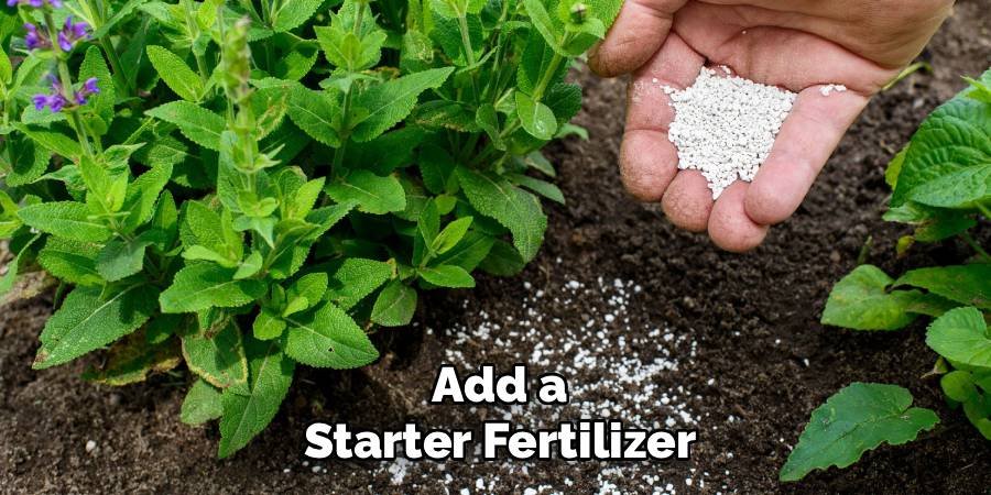 Add a Starter Fertilizer