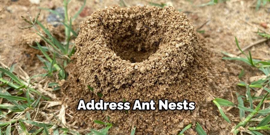 Address Ant Nests