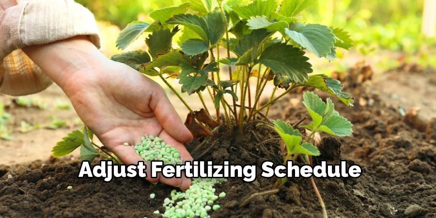 Adjust Fertilizing Schedule
