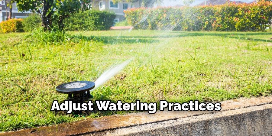 Adjust Watering Practices