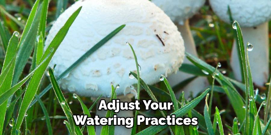 Adjust Your Watering Practices