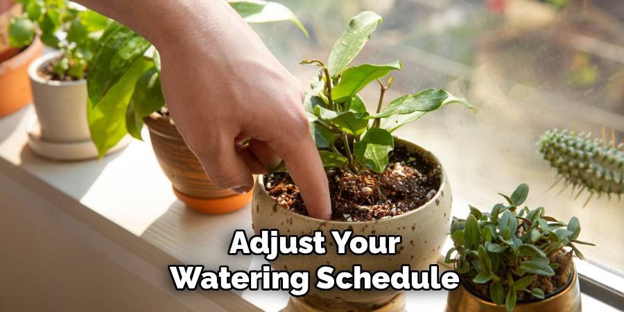Adjust Your Watering Schedule