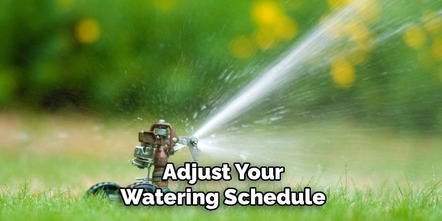 Adjust Your Watering Schedule