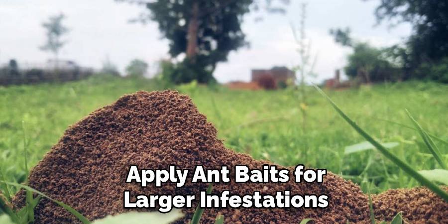 Apply Ant Baits for Larger Infestations