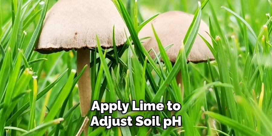 Apply Lime to Adjust Soil pH