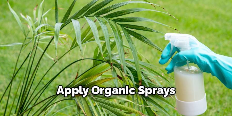 Apply Organic Sprays