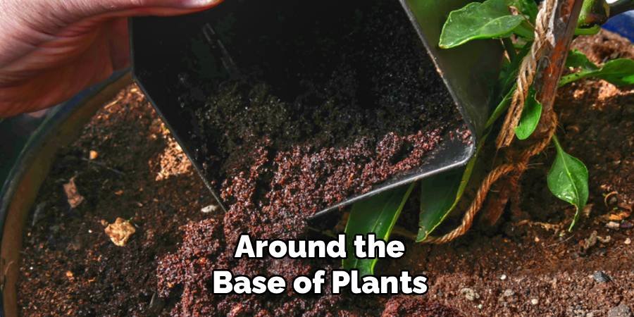 Around the Base of Plants