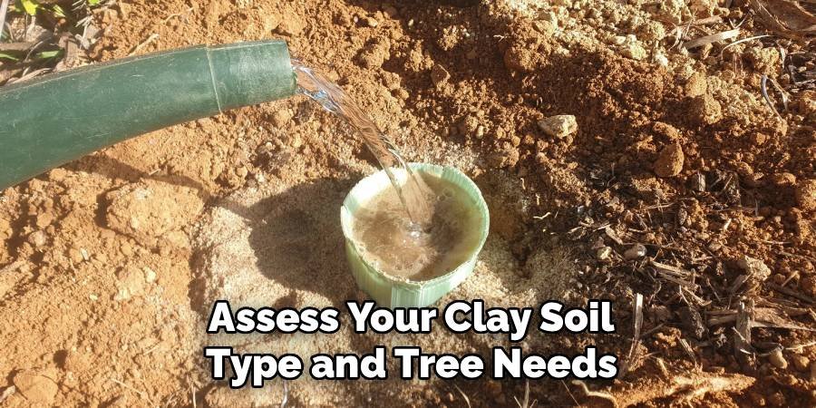 Assess Your Clay Soil Type and Tree Needs