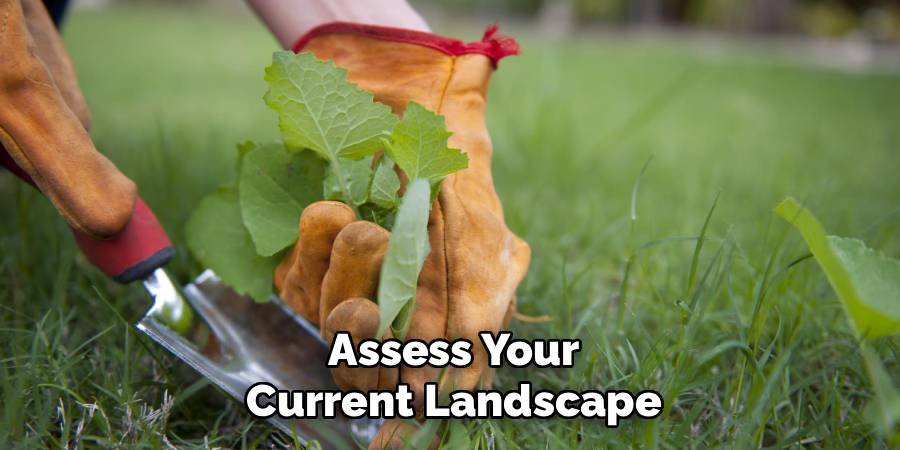 Assess Your Current Landscape