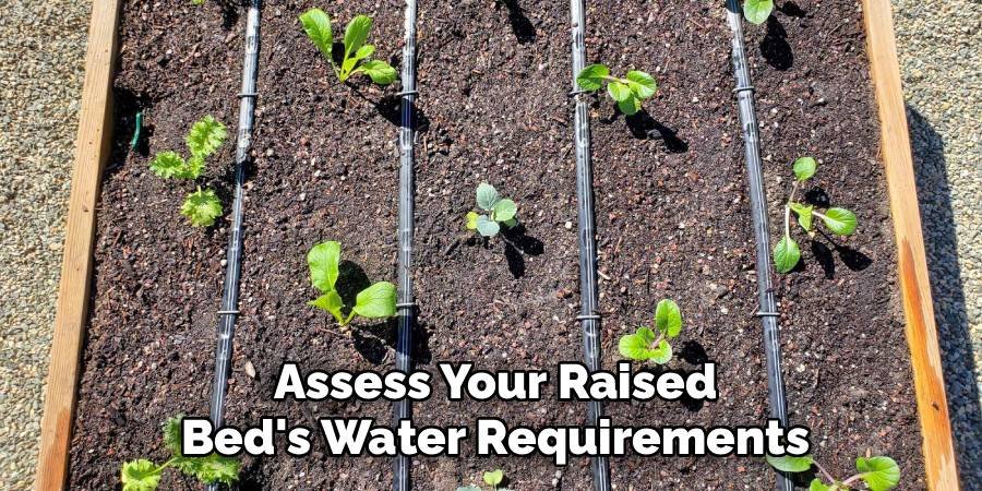 Assess Your Raised Bed's Water Requirements