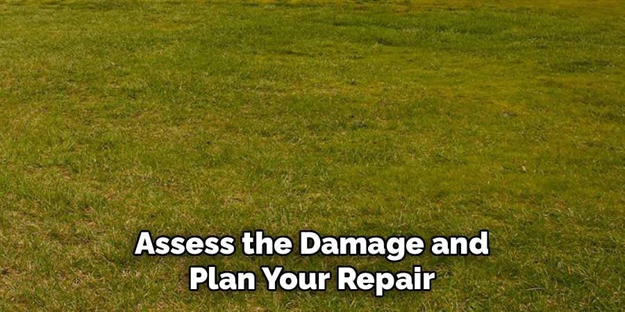 Assess the Damage and Plan Your Repair