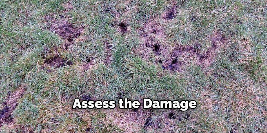 Assess the Damage