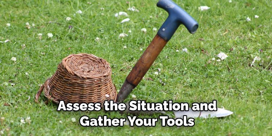 Assess the Situation and Gather Your Tools