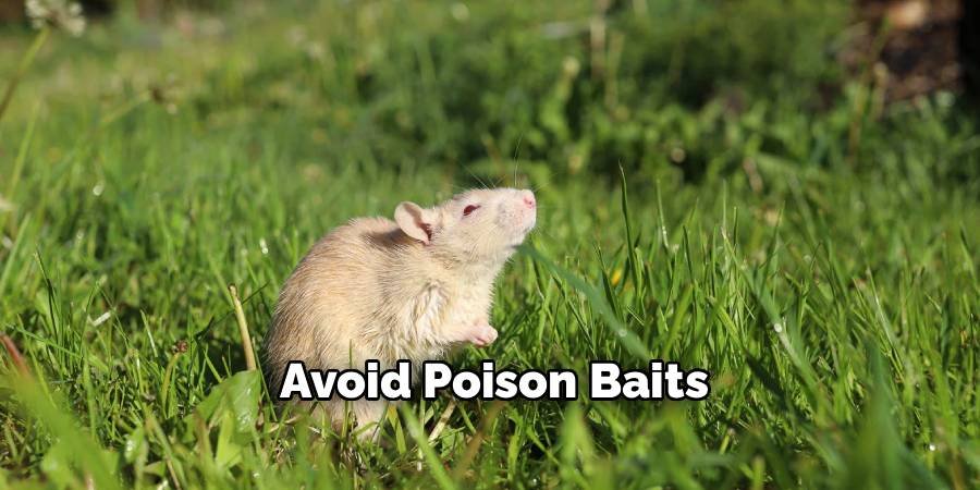 Avoid Poison Baits