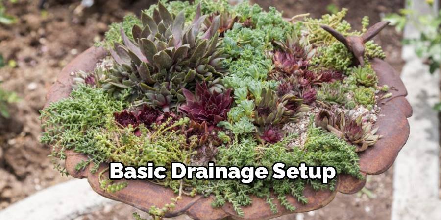 Basic Drainage Setup