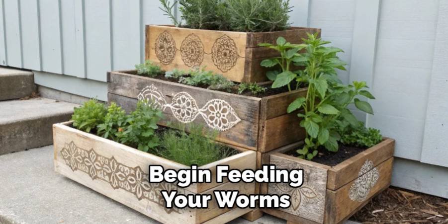 Begin Feeding Your Worms
